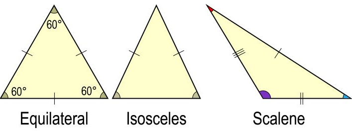 Properties of Triangle Calculator