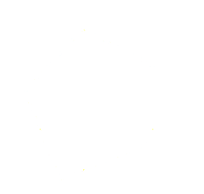 Polygon Area and Perimeter calculator with points